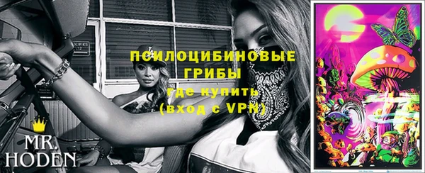 ALPHA PVP Богданович