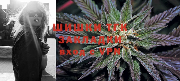 твердый Богородск