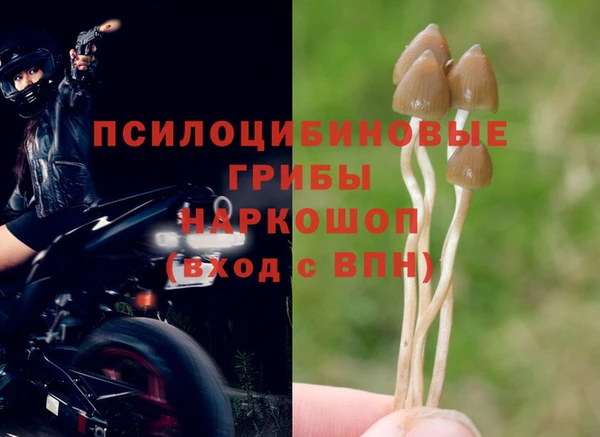 mdma Богородицк