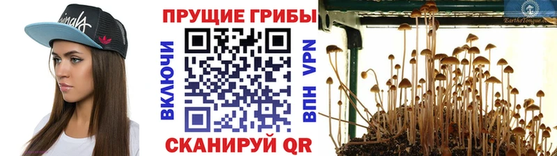Галлюциногенные грибы Magic Shrooms Бобров