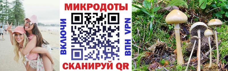маркетплейс формула  Бобров  mega ONION  Псилоцибиновые грибы ЛСД  что такое  